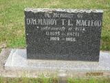 image of grave number 376931